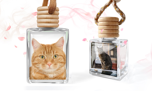 Profumatore in vetro con foto personalizzata del tuo gatto