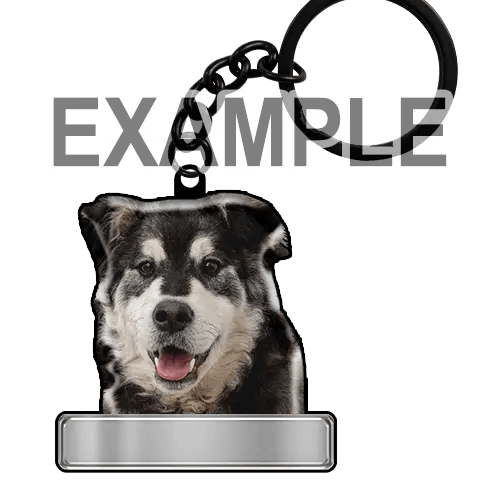 Keychain Dog Cat Name