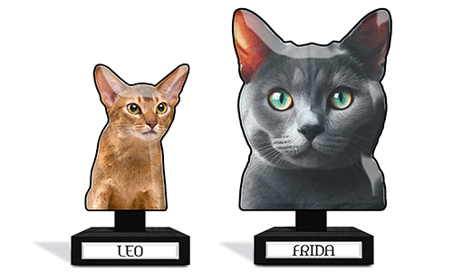 Decorazione da tavolo personalizzata per un proprietario di gatti - con foto del tuo gatto e il suo nome