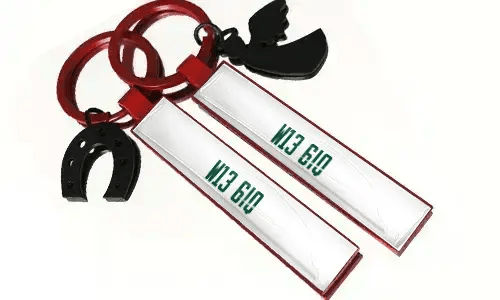 Metal keychains with license plate numbers and accessories